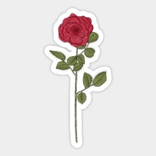 Rose! Sticker